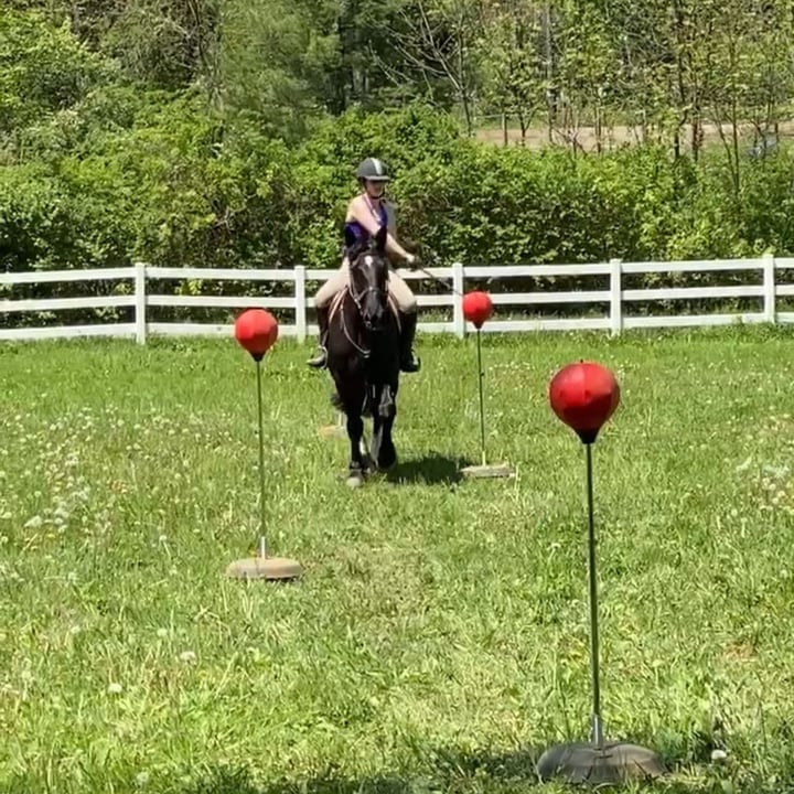 Horseback rider hitting targets with sword