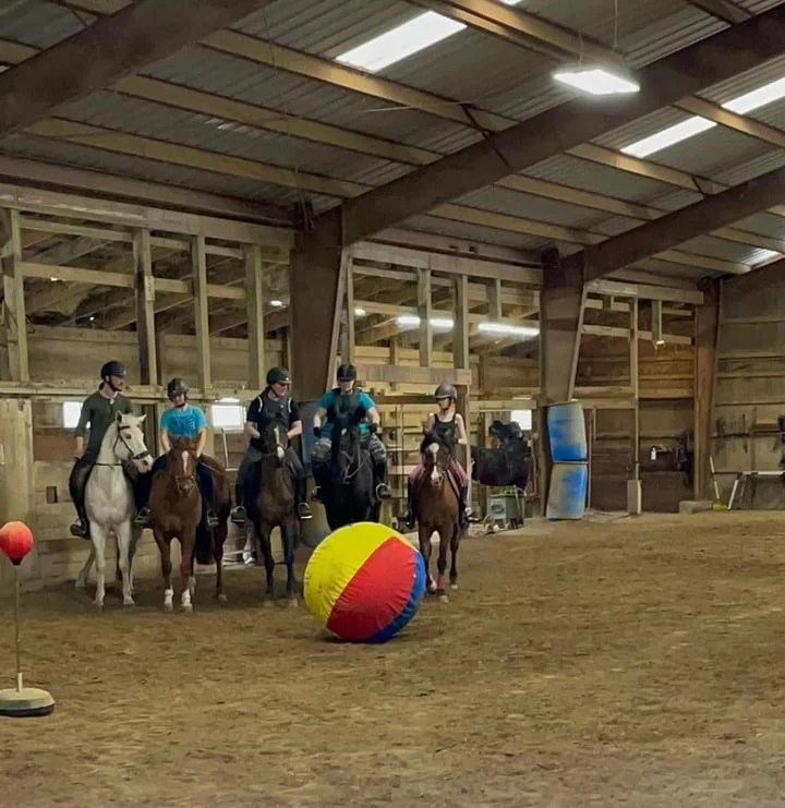 Horseback riders lined up for squad exercise