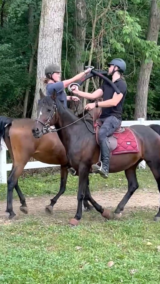 Two cavalry riders doing Martial arts on horseback with sabers; one rider is executing a counter cut against the other rider