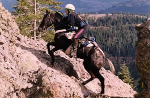 Tevis endurance horseback rider ascending Cougar Rock.