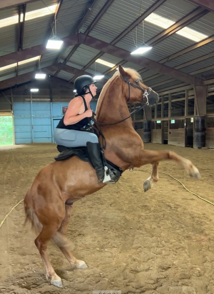 A woman riding a rearing horse